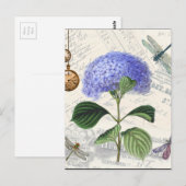 Hydrangea Collage Briefkaart (Voorkant / Achterkant)