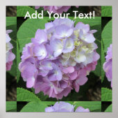 Hydrangea Colorful Flower Poster (Voorkant)