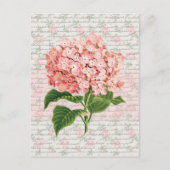 Hydrangea  Dream Briefkaart (Voorkant)