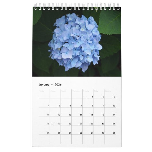 Hydrangea één pagina kalender (Jan 2026)