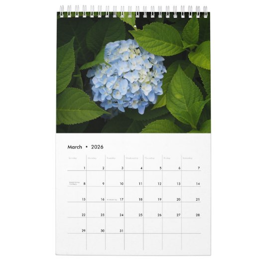 Hydrangea één pagina kalender (Mar 2026)