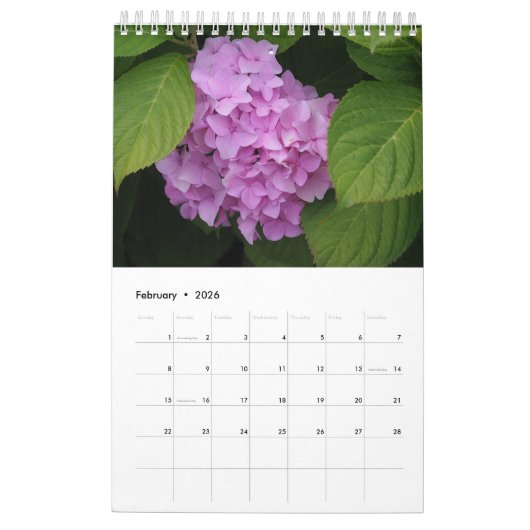 Hydrangea één pagina kalender (Feb 2026)