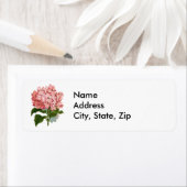 Hydrangea Etiket (Insitu)