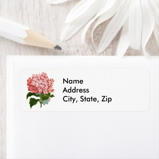 Hydrangea Etiket (Insitu)