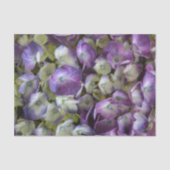 Hydrangea Fanische flora Fotografisch Paars Tissuepapier (Voorkant)