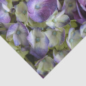 Hydrangea Fanische flora Fotografisch Paars Tissuepapier (Detail)