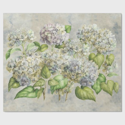 Hydrangea Floral Lavender on Grey  Cadeaupapier (Vlak)
