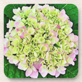  Hydrangea Flower Art Onderzetter Set (Voorkant)