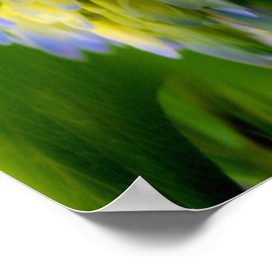 Hydrangea Flower Fantasy Floral Abstract Poster (Hoek)