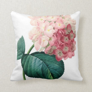 Hydrangea flower illustratie Redoute Kussen