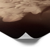 Hydrangea Flower in  Sepia Poster (Hoek)