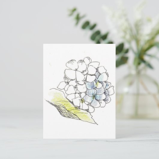 Hydrangea Flower Pen en Ink Tekening Briefkaart (Staand voorkant)
