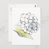 Hydrangea Flower Pen en Ink Tekening Briefkaart (Voorkant / Achterkant)
