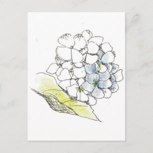 Hydrangea Flower Pen en Ink Tekening Briefkaart