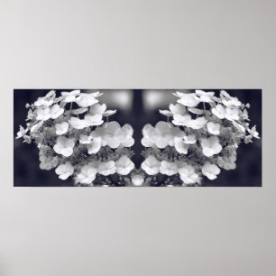 Hydrangea Flower Zwart-wit Spiegel Abstract Poster