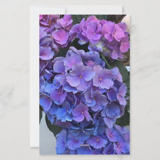Hydrangea Flowers Bckground Monogram Initiaal Briefpapier (Achterkant)