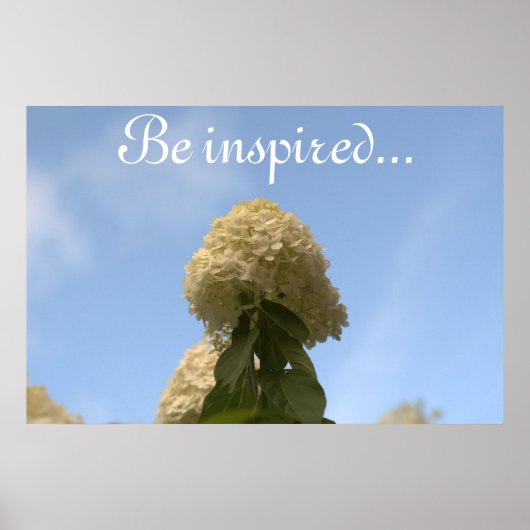 Hydrangea Flowers Blue Sky Poster (Voorkant)