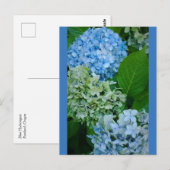 Hydrangea Flowers Briefkaart (Voorkant / Achterkant)