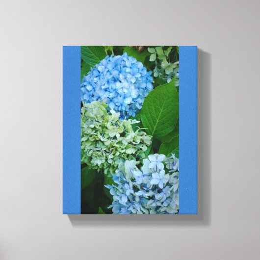 Hydrangea Flowers Canvas Afdruk (Voorkant)