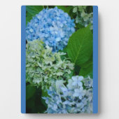 Hydrangea Flowers Fotoplaat (voorkant)