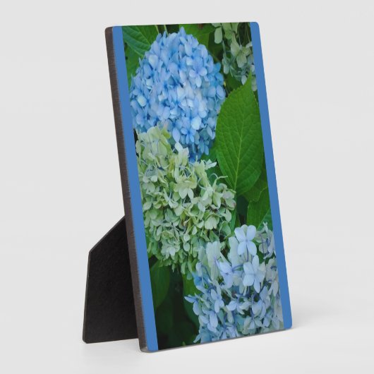 Hydrangea Flowers Fotoplaat (Zijkant)