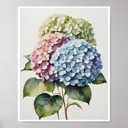 Hydrangea Flowers Handgemaakt Poster Waterkleur (Voorkant)