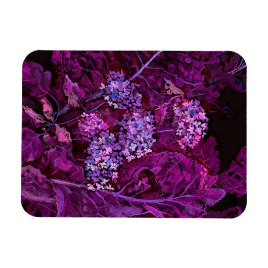 Hydrangea Flowers Horseradish Floral Art Paars Magneet (Horizontaal)
