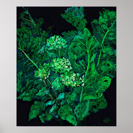 Hydrangea Flowers & Horseradish Floral Black Green Poster (Voorkant)