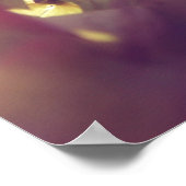 Hydrangea Flowers in Sunlight Paarse Bokeh Poster (Hoek)