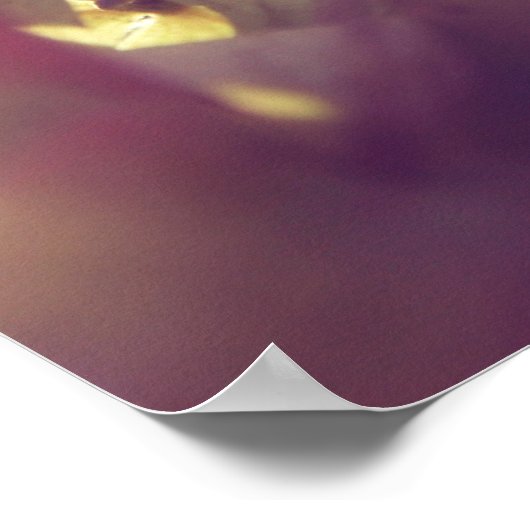 Hydrangea Flowers in Sunlight Paarse Bokeh Poster (Hoek)