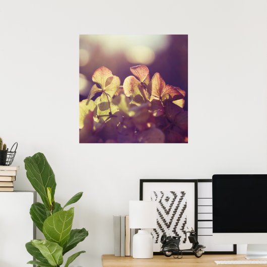 Hydrangea Flowers in Sunlight Paarse Bokeh Poster (Thuiskantoor)