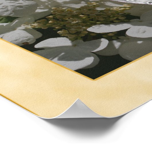 Hydrangea Flowers Lijst Creëer Uw eigen foto Poster (Hoek)