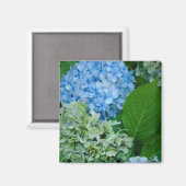 Hydrangea Flowers Magneet (Voorkant / Achterkant)