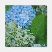Hydrangea Flowers Magneet (Voorkant)