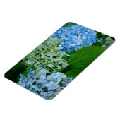 Hydrangea Flowers Magneet (Linkerzijde)