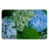 Hydrangea Flowers Magneet (Horizontaal)