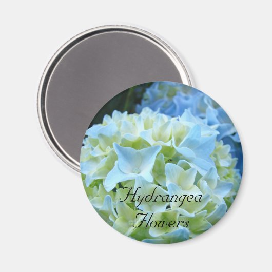 Hydrangea Flowers magnet Blue Hydrangeas Floral (Voorkant / Achterkant)