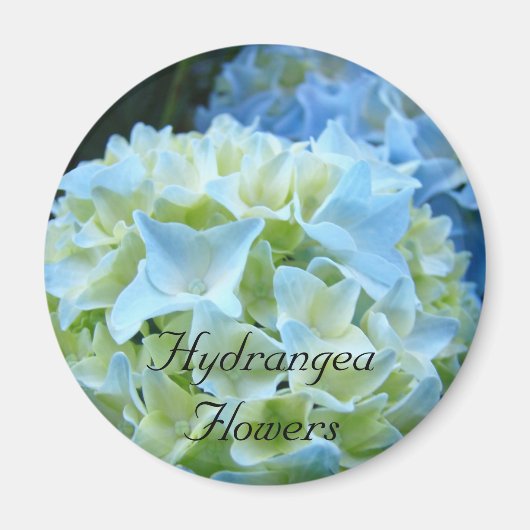 Hydrangea Flowers magnet Blue Hydrangeas Floral (Voorkant)