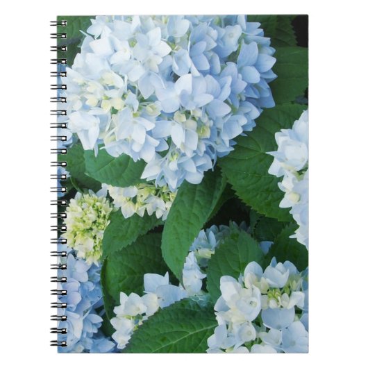 Hydrangea Flowers Notebook Notitieboek (Voorkant)