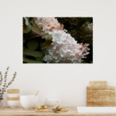 Hydrangea Flowers Pink Photography Poster (Keuken)