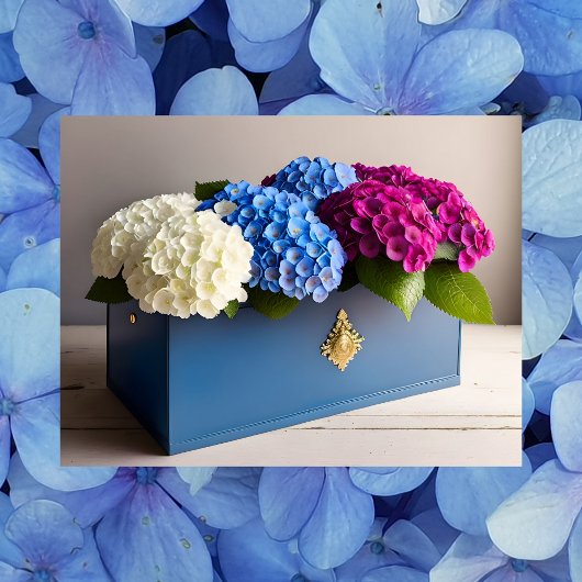 Hydrangea Flowers, Postcrossing Briefkaart