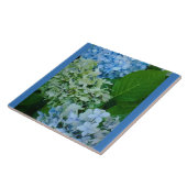 Hydrangea Flowers Tegeltje (Zijkant)