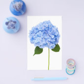 Hydrangea Flyer (Enkel)