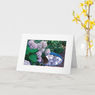Hydrangea-fotokaart Kaart