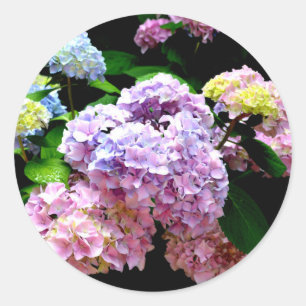 Hydrangea Garden Ronde Sticker