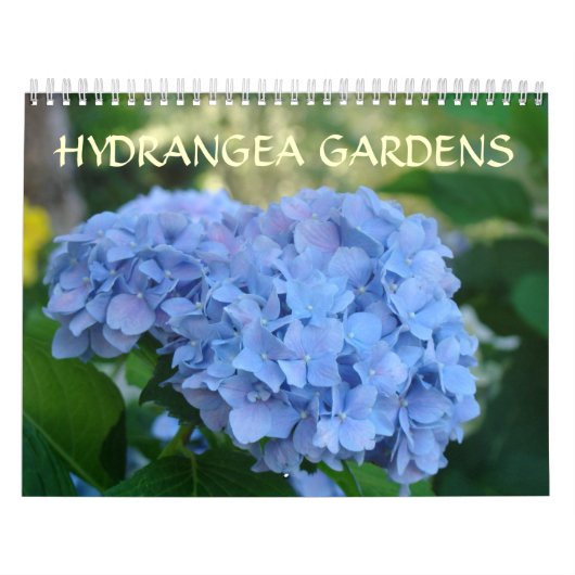 HYDRANGEA GARDENS Calendar Blue Hydrangeas Kalender (Hoes)