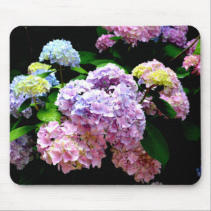 Hydrangea Gardens Muismat