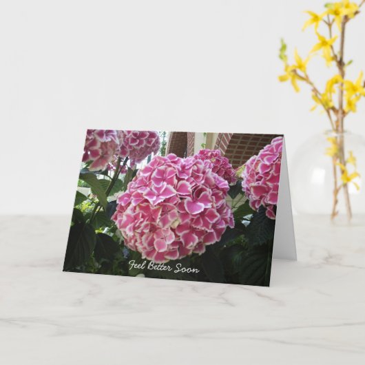 Hydrangea Get Well Kaart (Gele Bloem)