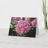 Hydrangea Get Well Kaart (Voorkant)