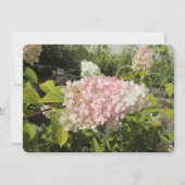 Hydrangea Grandiflora Feestdagenkaart (Voorkant)
